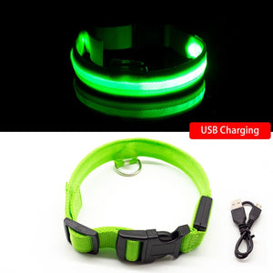 green led collar