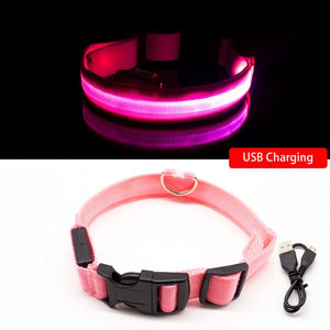 pink led dog collar