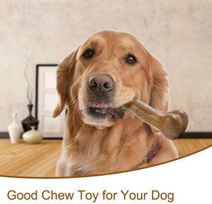 best chew toy for dogs