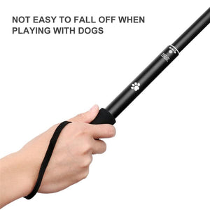 excellent flirt pole toy for dogs