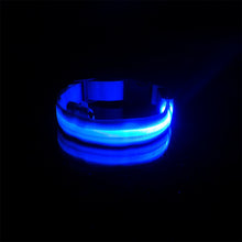 Load image into Gallery viewer, blue rechargeable led dog collar