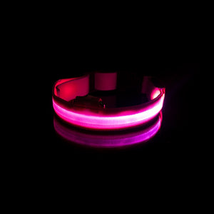 pink rechargeable led dog collar