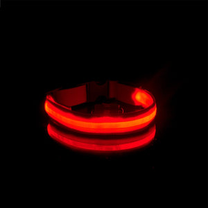 red rechargeable led dog collar