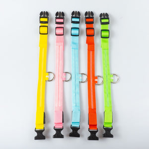 five colors of the usb rechargeable led collar