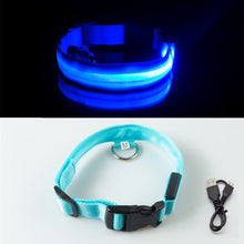 Load image into Gallery viewer, blue led dog collar