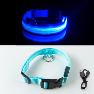 blue led dog collar