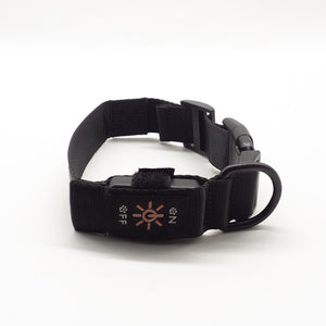 App Control Anti-lost LED Dog Collar