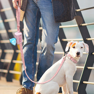 pink personalized dog collar leash set with poop bag