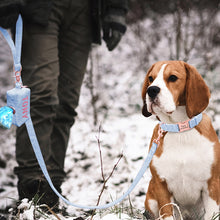 Load image into Gallery viewer, blue personalized dog collar leash set with poop bag