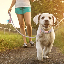 Load image into Gallery viewer, custom personalized dog collar leash with poop bag