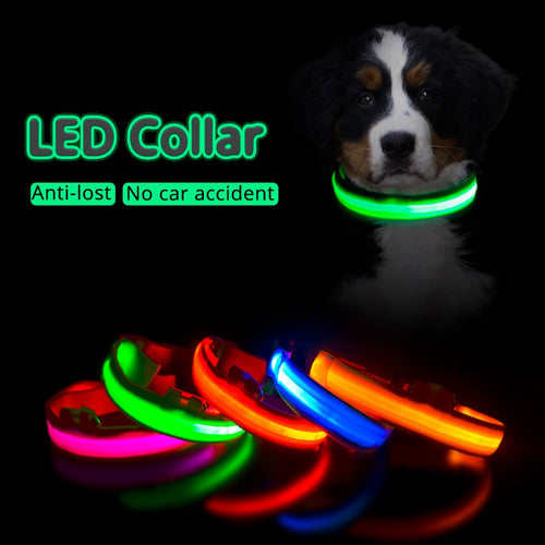 anit-lost led dog collar
