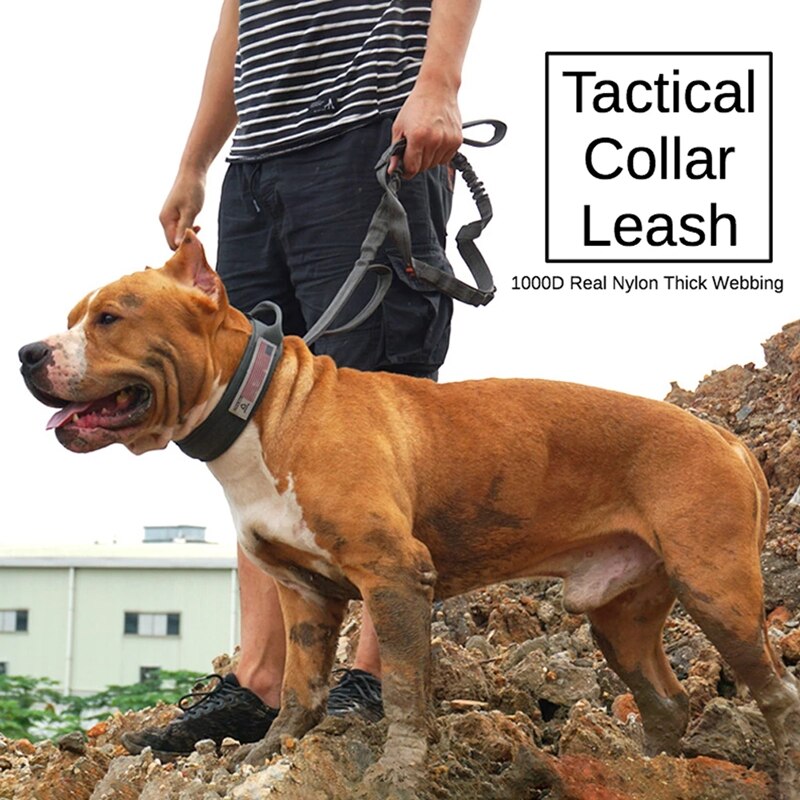 tactical collar leash for big dogs