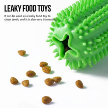 Load image into Gallery viewer, rubber cactus dog toy