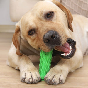rubber teeth cleaning dog toy