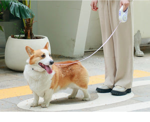 retractable dog leash