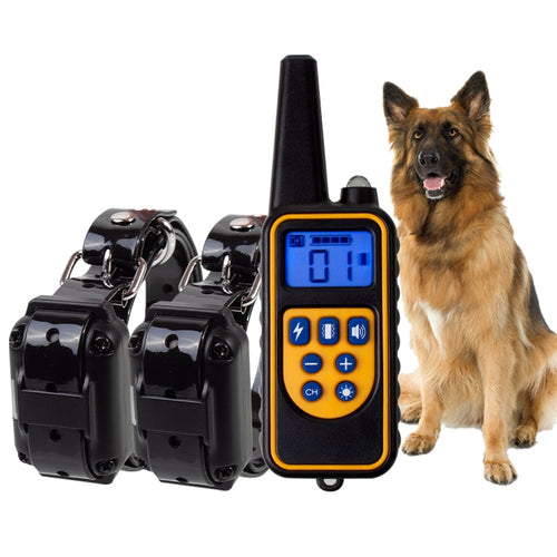 best dog training collar set
