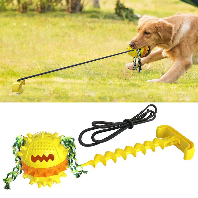 tug-of-war dog toy