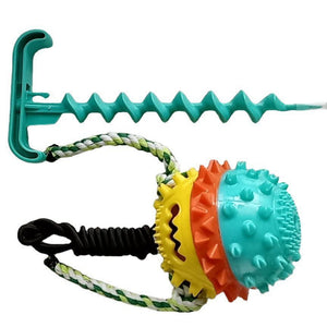 tug-of-war toy for dogs
