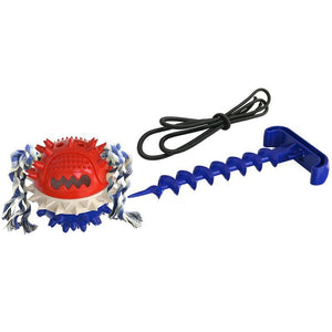 blue red dog tug toy