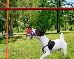 Outdoor Tug of War Dog Toy