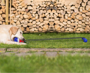 Outdoor Tug of War Dog Toy