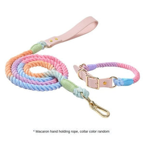 Ajustable Leather Dog Collar Leash Set