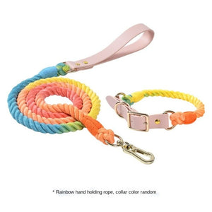 Ajustable Leather Dog Collar Leash Set