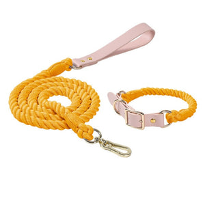 yellow leather dog collar leash set