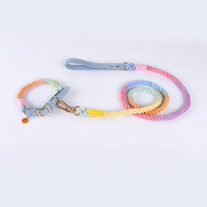 Ajustable Leather Dog Collar Leash Set