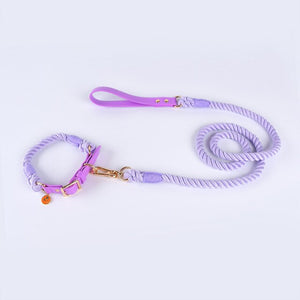 leather dog collar leash set