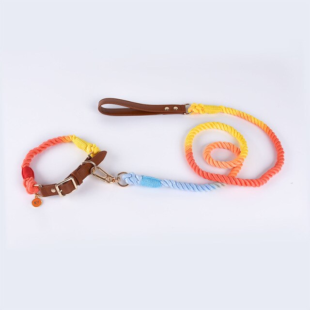 colorful dog leather collar leash set