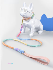 durable leather dog leash set