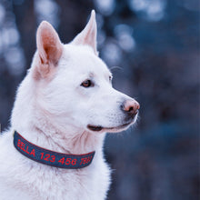 Load image into Gallery viewer, best personalized dog collars