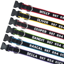 Load image into Gallery viewer, personalized dog collar embroidered details