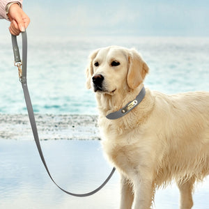 best grey waterproof personalized dog leash set